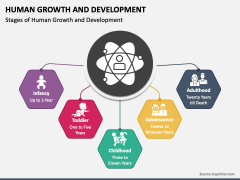 Human Growth And Development Powerpoint And Google Slides Template