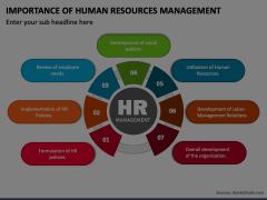 Importance Of Human Resources Management PowerPoint Template PPT Slides