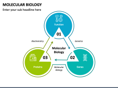 Molecular Biology PowerPoint And Google Slides Template PPT Slides