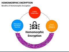 Homomorphic Encryption Powerpoint Template Ppt Slides