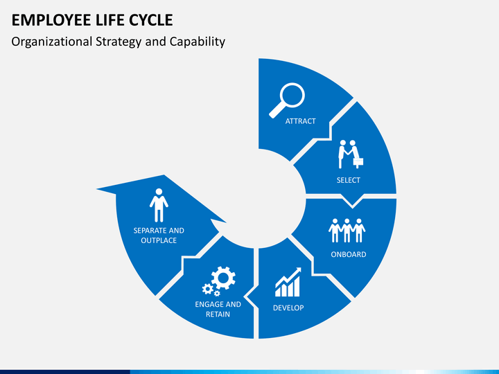 life cycle template