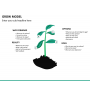 Grow Model PowerPoint Template | SketchBubble