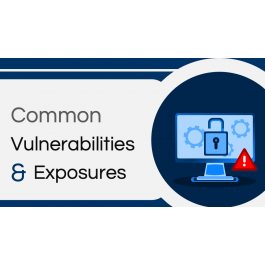 Common Vulnerabilities and Exposures PowerPoint and Google Slides ...