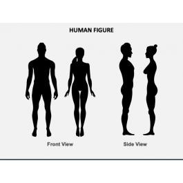 Human Figure for PowerPoint and Google Slides - PPT Slides