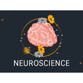 Neuroscience PowerPoint and Google Slides Template PPT Slides
