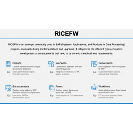 RICEFW PowerPoint and Google Slides Template PPT Slides