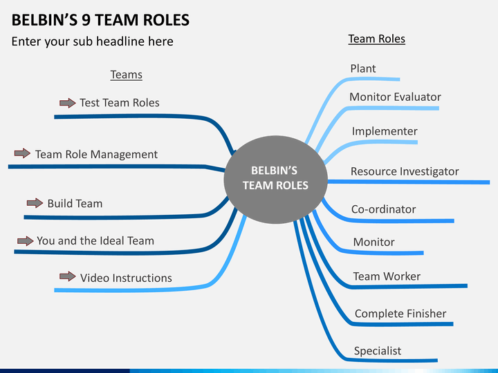 belbin role in a team test online free