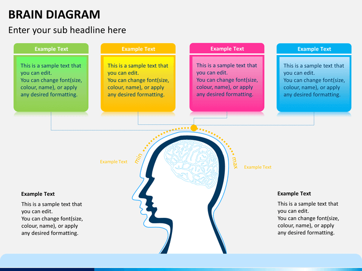 Brain Diagram Powerpoint Template