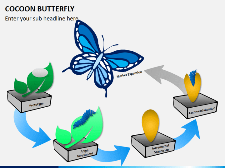 Cocoon butterfly diagram PPT slide 1