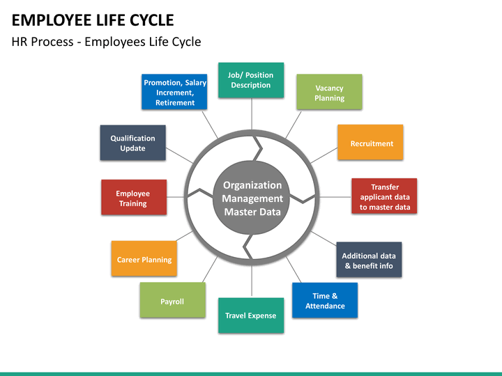 Employee Lifecycle PowerPoint Template | SketchBubble