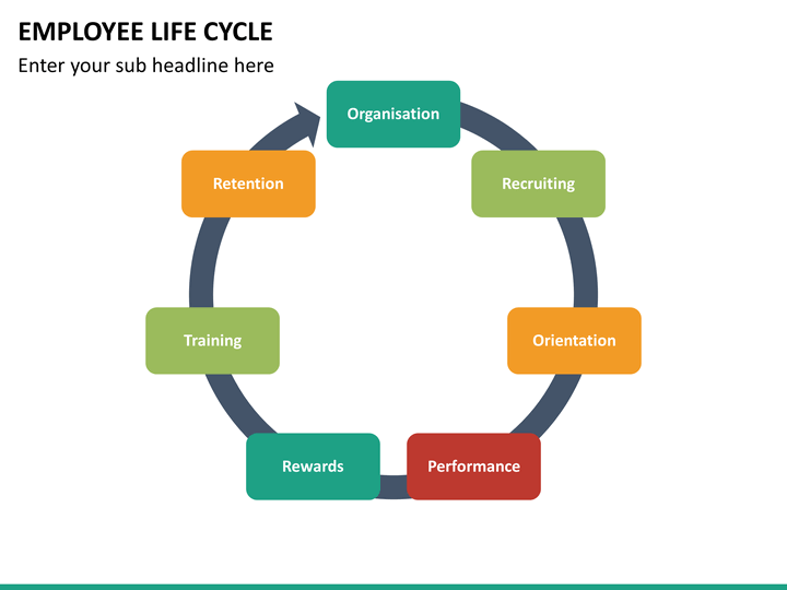 employee lifecycle powerpoint template sketchbubble