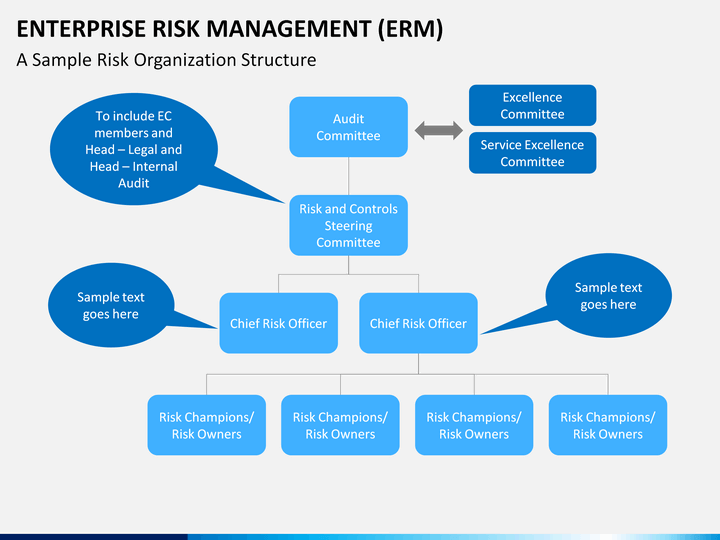 Risk Management Organization Chart