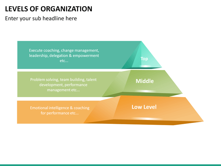 Levels of Organization PowerPoint Template | SketchBubble