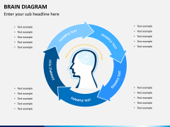 Brain diagram PPT slide 5