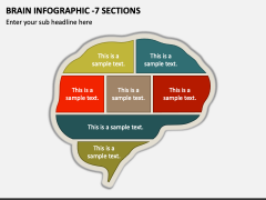 Brain Infographic - 7 Sections PPT Slide 1