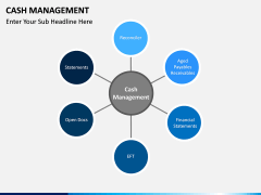Cash Management PPT slide 14
