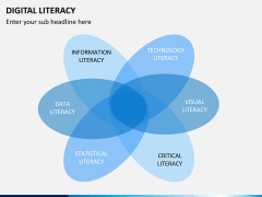Digital literacy PPT slide 12