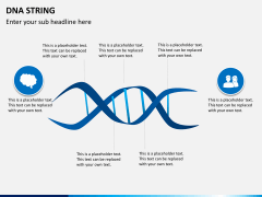 DNA string PPT slide 5