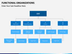 Functional organization PPT slide 10