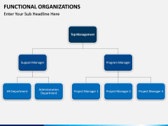 Functional organization PPT slide 11