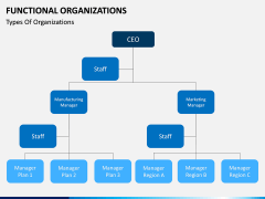 Functional organization PPT slide 12