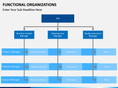 Functional organization PPT slide 8
