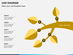 Leaf diagram PPT slide 7