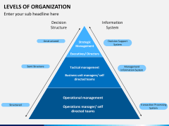Levels of Organization PPT slide 4
