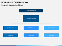 Non-Profit Organization PPT slide 13