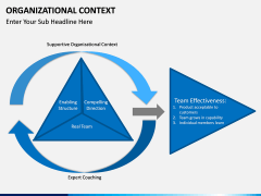 Organizational Context PPT slide 8