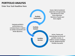 Portfolio Analysis PPT slide 2