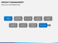 Product management PPT slide 17