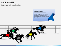 Race horses PPT slide 3
