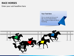 Race horses PPT slide 4