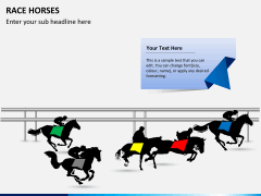 Race horses PPT slide 5