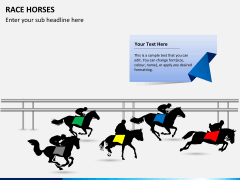 Race horses PPT slide 6