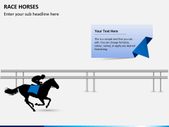 Race horses PPT slide 8