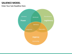 Salience Model PPT slide 4