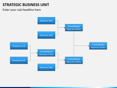 Strategic business unit PPT slide 10