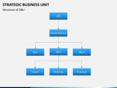 Strategic business unit PPT slide 5