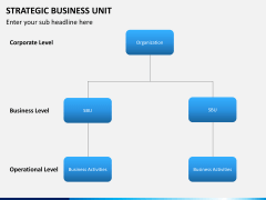 Strategic business unit PPT slide 9