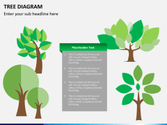 Tree diagram PPT slide 2
