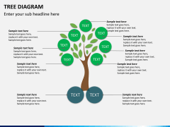 Tree diagram PPT slide 5