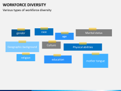 Workforce diversity PPT slide 10