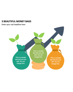 3 Beautiful Money Bags PPT Slide 2
