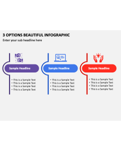 3 Options Beautiful Infographic PPT Slide 2