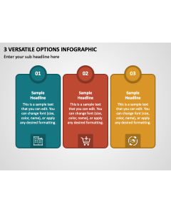 3 Versatile Options Infographic PPT Thumbnail