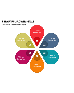 6 Beautiful Flower Petals PPT Slide 2