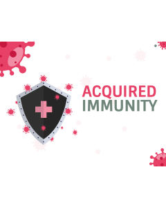 Acquired Immunity PPT Thumbnail