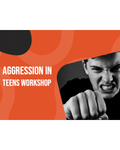 Agressie bij tieners workshop PPT-miniatuur